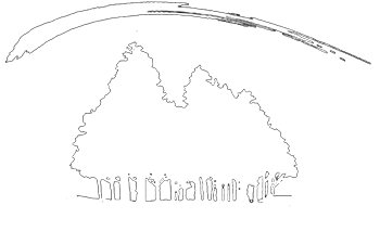 woodland eye clinic